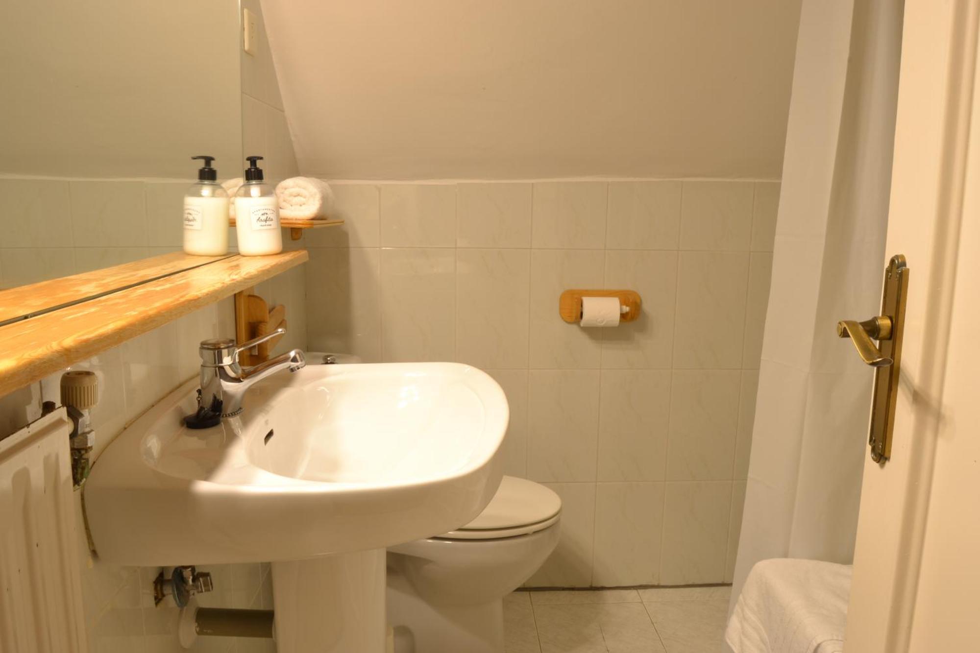 Balaitus Petfriendly - Arafita Apartamentos Sallent de Gállego Eksteriør bilde